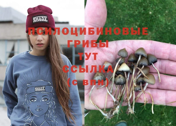 мяу мяу кристалл Рославль