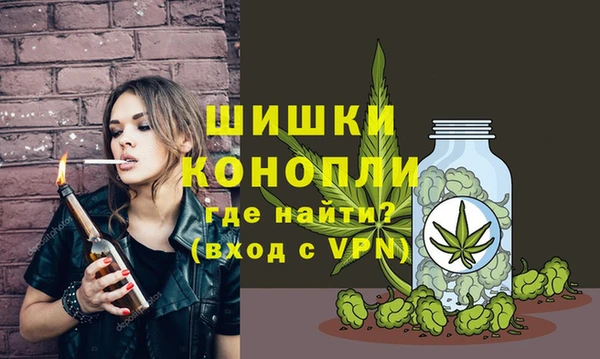 сатива Баксан