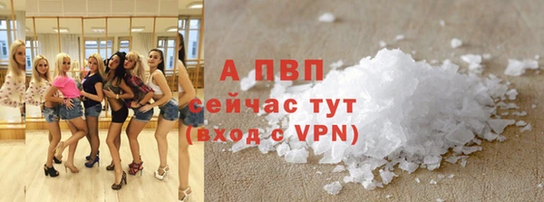 сатива Баксан